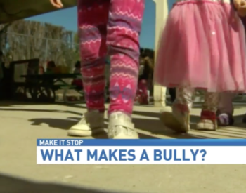 What makes a bully?