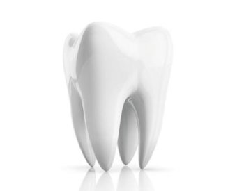 Tooth, dental implants