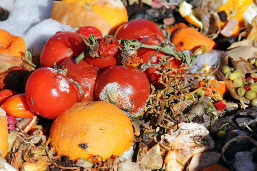 Rotten Fruit And Vegetables On A Garbage Heap Ut Health San Antonio