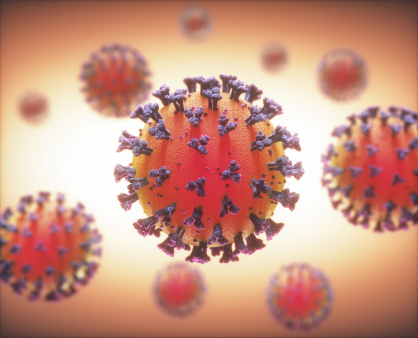 COVID-19 Coronavirus Infections Viruses