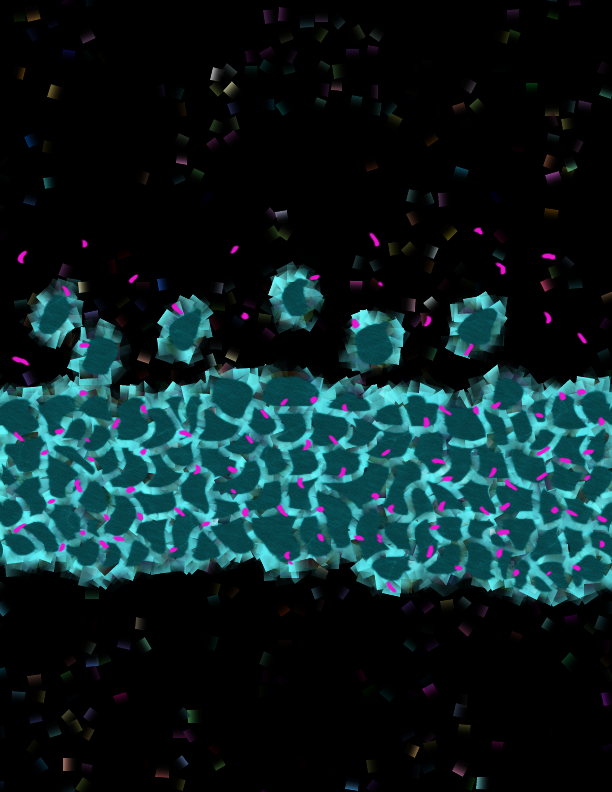 Primary cilia in newborn neurons