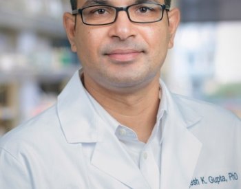 Yogesh Gupta, PhD