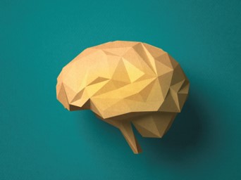 Origami brain art