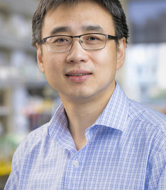Photo of researcher Yan Xiang, PhD