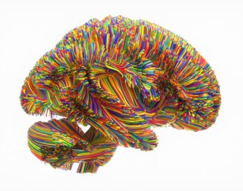 Photo of a brain made of multicolored wires.