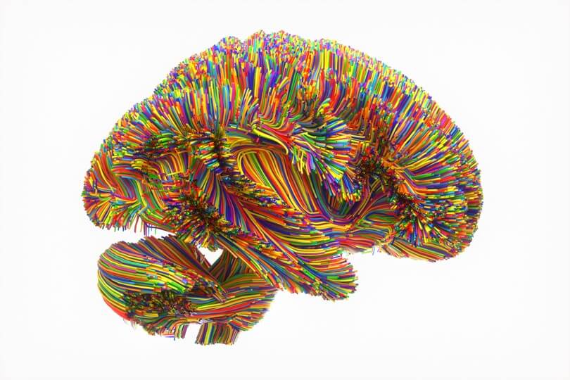Photo of a brain made of multicolored wires.