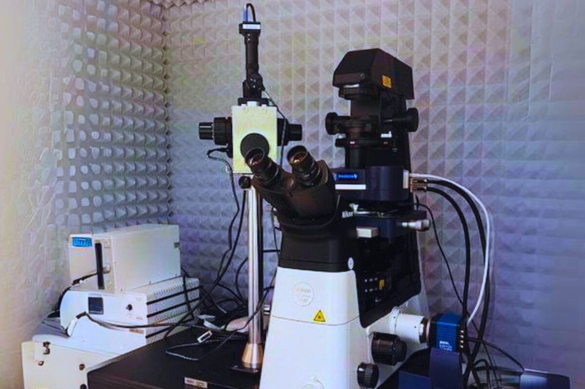 Lab Science Core NIH grant for atomic force microscope boosts translational science at ...