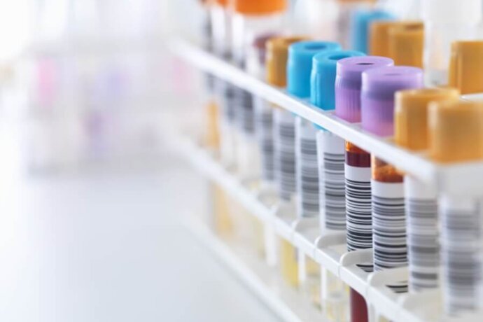 UT Health shield logo