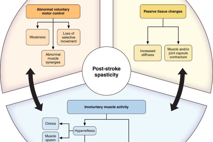 UT Health shield logo