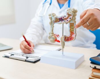 A doctor holds a human colon anatomy model, demonstrating the digestive system's structure to diagnose and treat various gastrointestinal diseases and conditions.