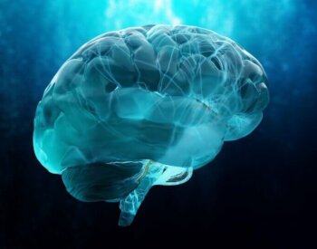 Brain image
